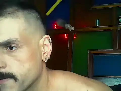 Czat XXX na żywo – BrunoAlphaBR