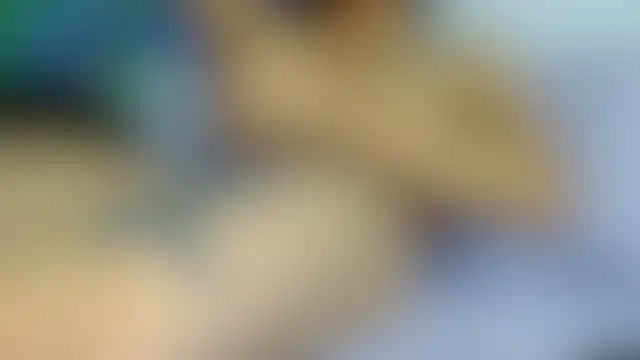 Latinopervs live XXX chat