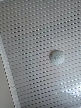 Chat XXX Live MUHDIC