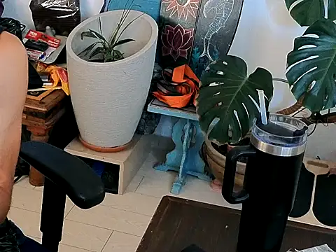 عرض كام CuriousGeniee
