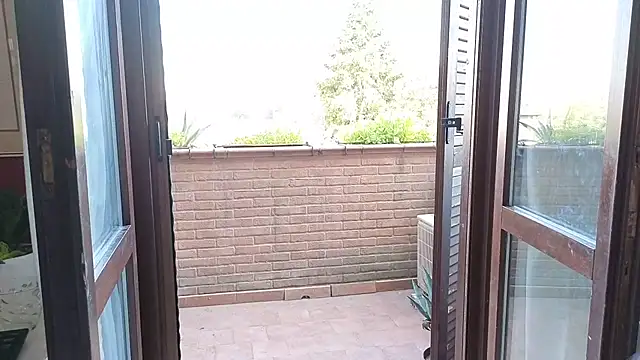 DragonflyExhib's Live XXX Chat