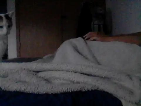 Silencio26 Chat XXX live