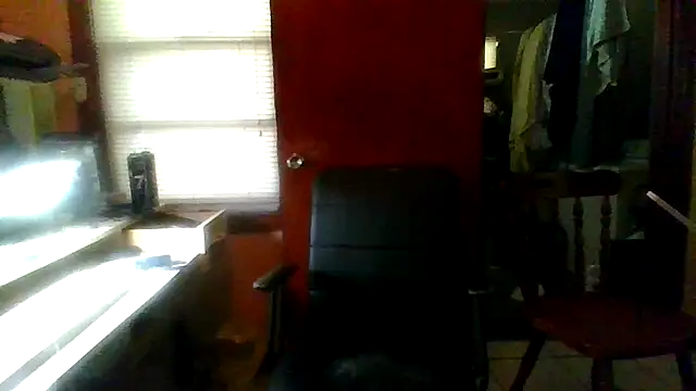 mapsterdaman Webcam-Show