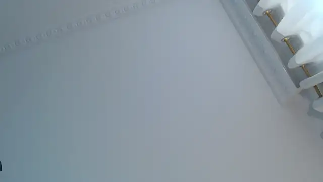 Zahra_milks' Webcam Show