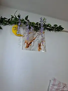 Nika_aa 라이브 XXX 채팅