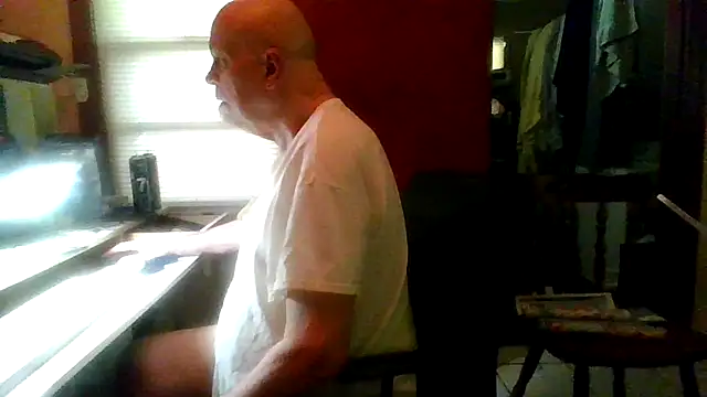 Show webcam de mapsterdaman