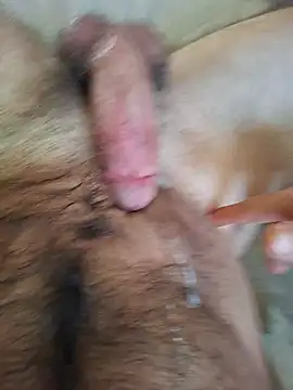 Foxinbox24 – Naživo XXX chat