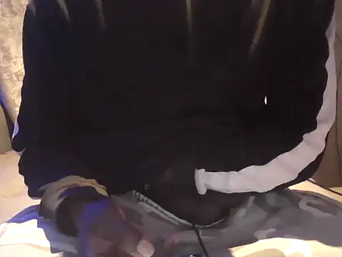wbster's Webcam Show