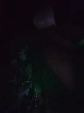 Show de webcam de shanthi_telugu99
