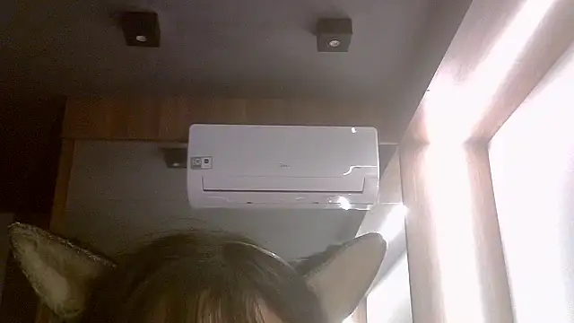 Show de webcam de SkinnyKitten