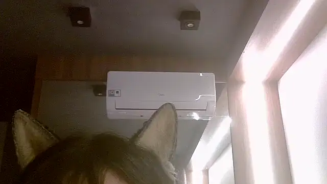 Chat XXX ao vivo de SkinnyKitten
