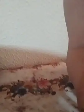 Notella1のウェブカメラショー