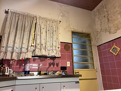 Petebulimia Live XXX Chat