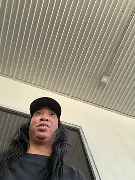 LeBimbo's Live XXX Chat
