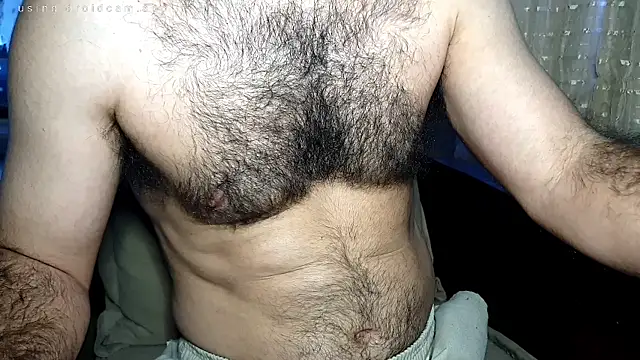 Show de webcam de robsonbr