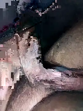 Pitercom Show Webcam