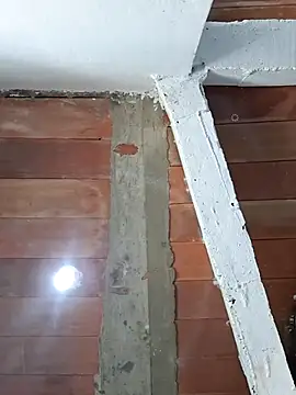 Cataleya_ja Adlı Modelin Canlı XXX Sohbeti