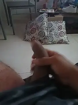Show de webcam de z1ervo
