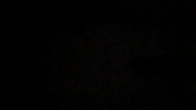 Show de webcam de SirFrankonde