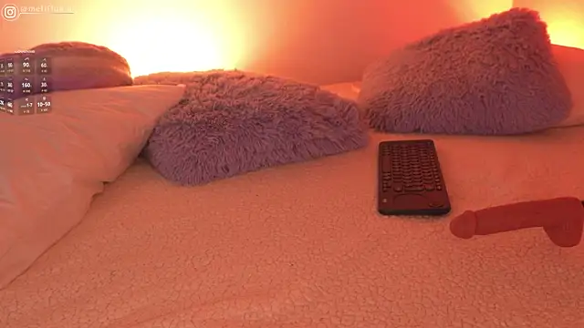 Chatroom XXX en direct de Melifluaa