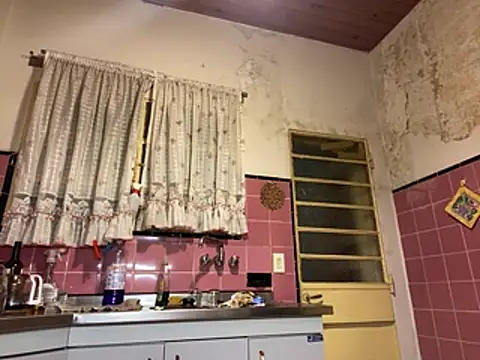 XXX chat uživo modela Petebulimia