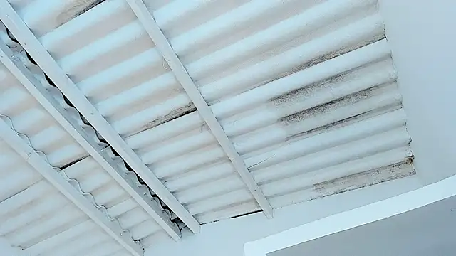 Sembang XXX Secara Langsung veronica_em1