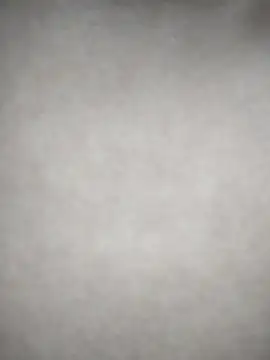 Ari_stone's Live XXX Chat
