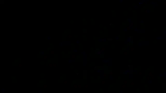 عرض كام SirFrankonde