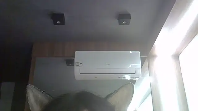 Show de webcam de SkinnyKitten
