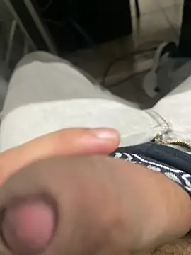 הופעת וובקאם של 4100anllel