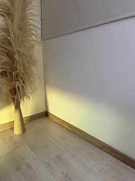 PaulPhoenix_ 现场XXX聊天