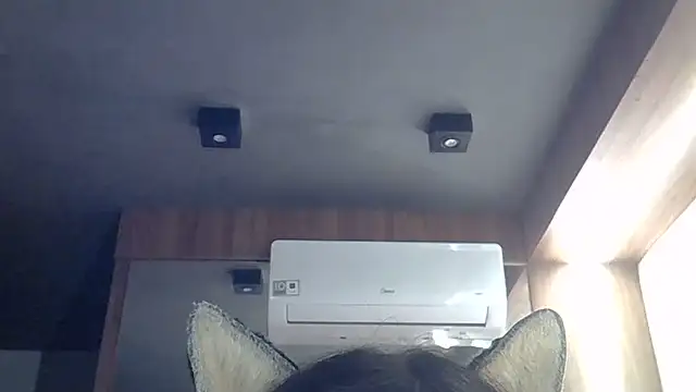 SkinnyKitten 라이브 XXX 채팅
