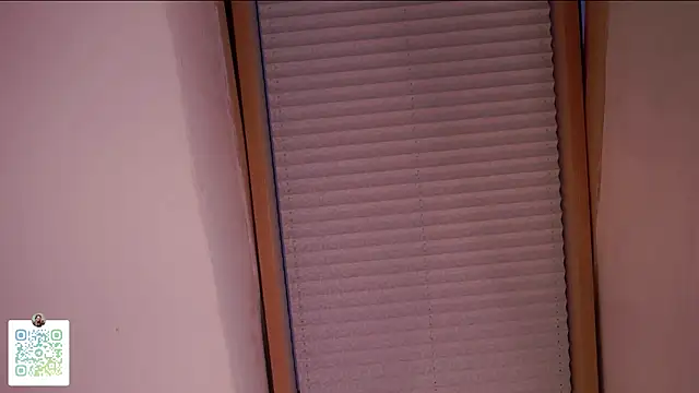 CecileBrickstone's Webcam Show