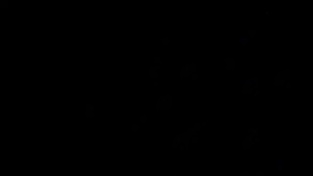 SirFrankonde Webcam show