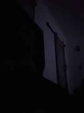 NeedCBB 网络视讯表演