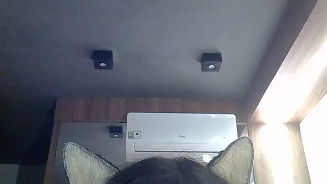 Show de webcam de SkinnyKitten