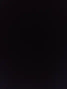 Show webcam de WiseDi