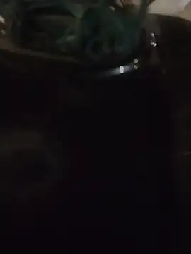 Javiinbogota Chat XXX in diretta