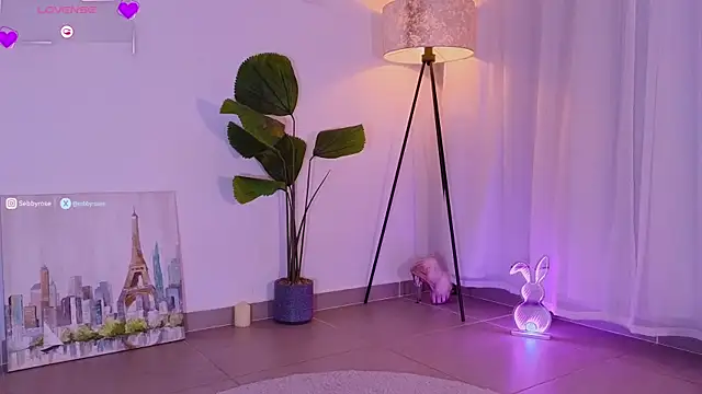 Онлайн чат XXX sebbyrose