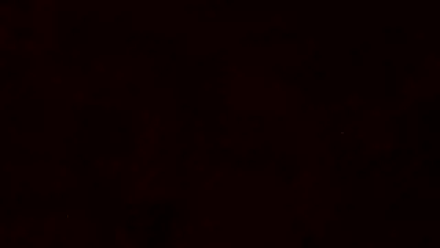 Show webcam de pepite25