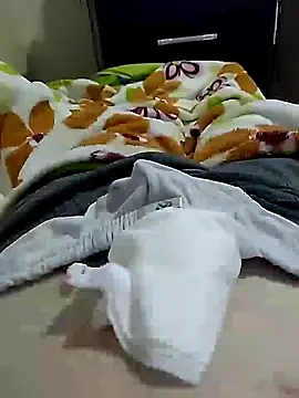 Gallanttrox Live XXX-Chat