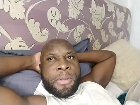 Stallion100 Chat XXX live