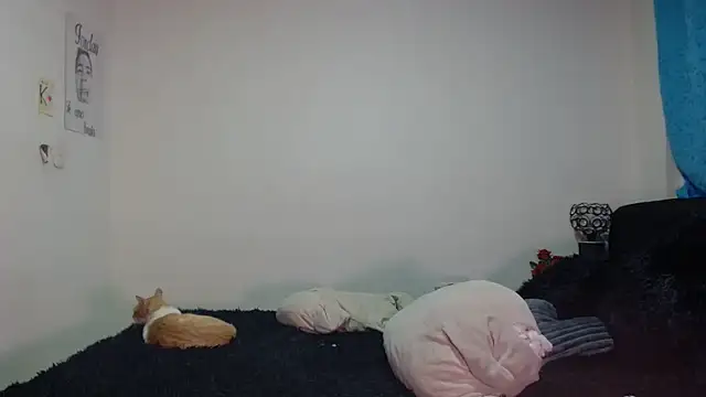 Kimmy_kimmy_'s Live XXX Chat