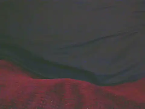 TransCya2024n Live XXX chat