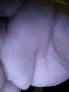 Nikitoccba Webcamshow