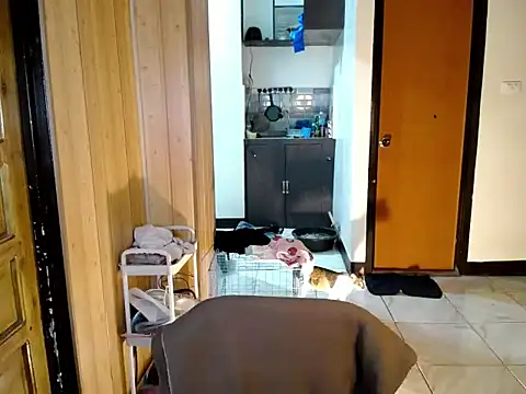 jakolotenn Live XXX chat