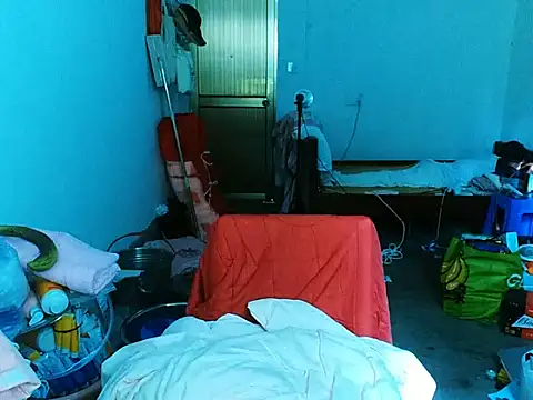 RebelAura 网络视讯表演