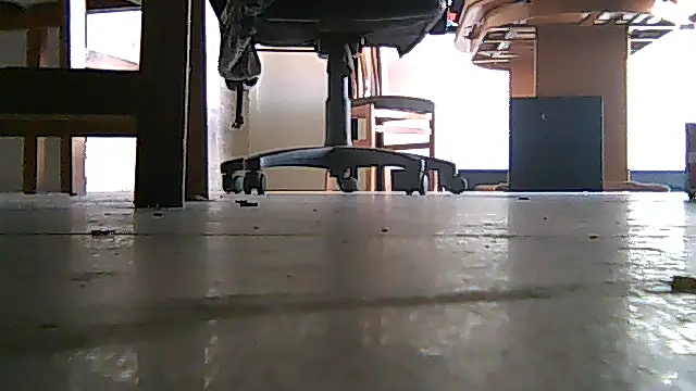 SirFrankonde Show in webcam