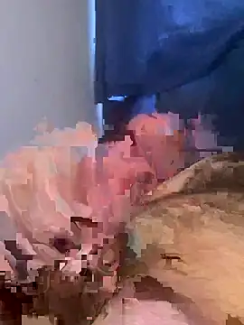 midog2026 Webcam Show