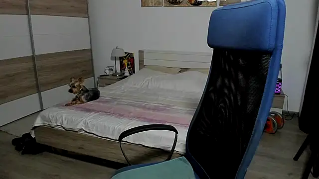 RobbyShawzn Live XXX chat